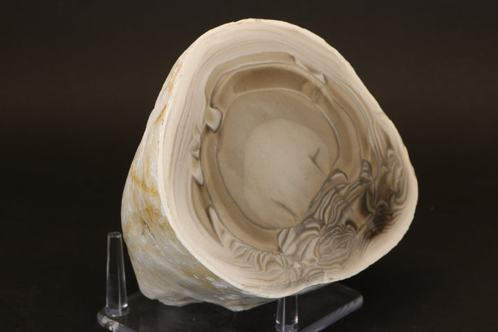 Polish Flint Nodule Display DX669