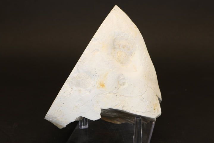 Polish Flint Nodule Display DX669