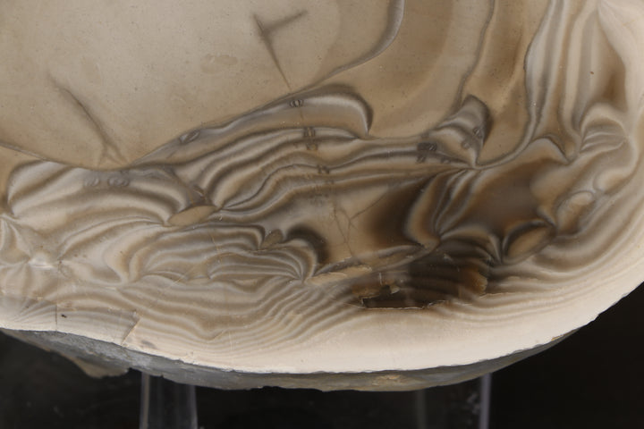 Polish Flint Nodule Display DX669