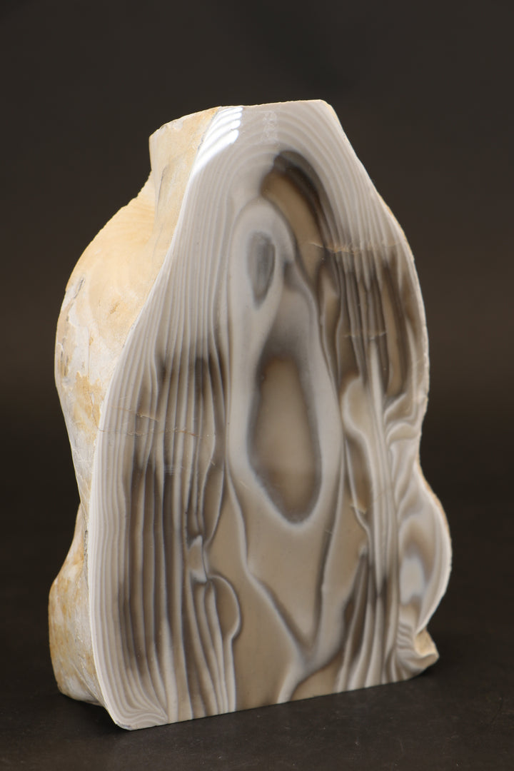 6.5" Polish Flint Freeform Display DX671