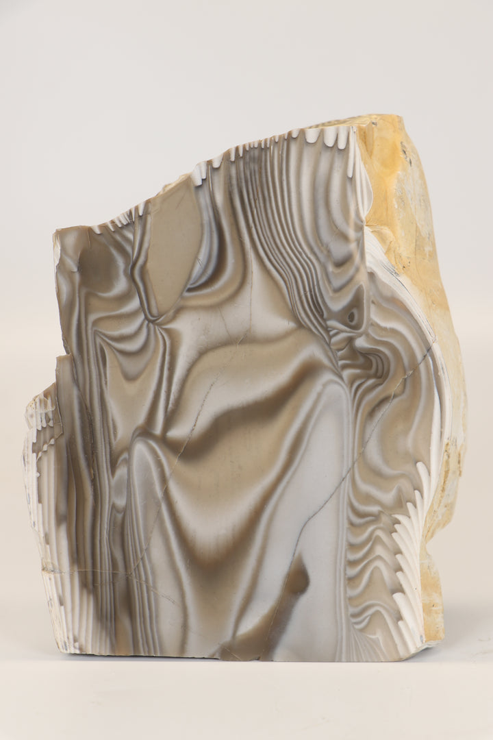 5.75" Polish Flint Freeform Display DX783