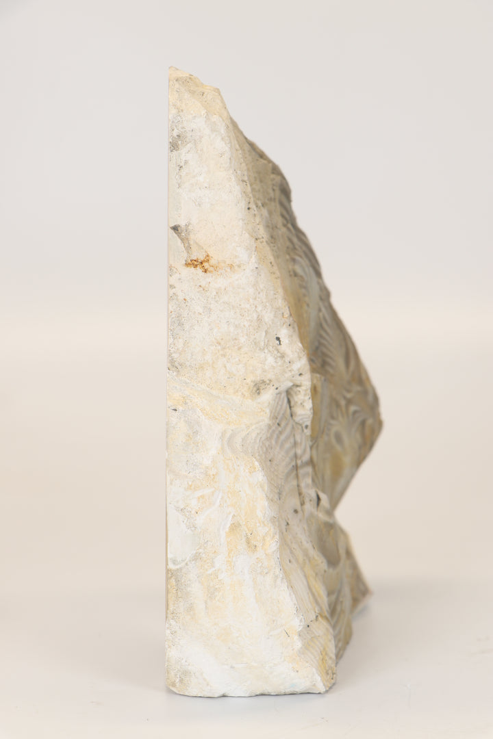 6.25" Polish Flint Freeform Display DX785