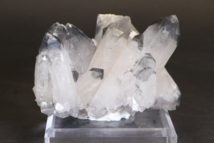 Black Phantom Lemurian Cluster TC1431