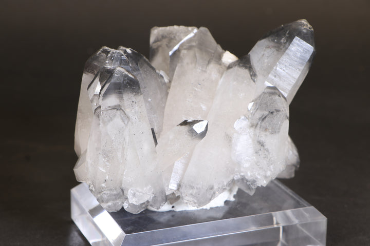 Black Phantom Lemurian Cluster TC1431