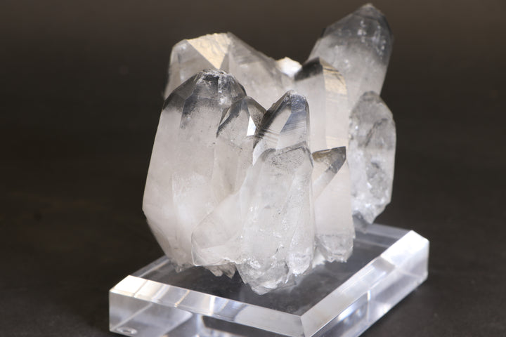 Black Phantom Lemurian Cluster TC1431