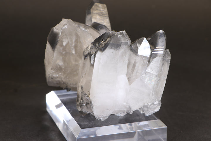Black Phantom Lemurian Cluster TC1431