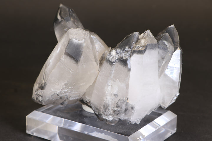 Black Phantom Lemurian Cluster TC1431