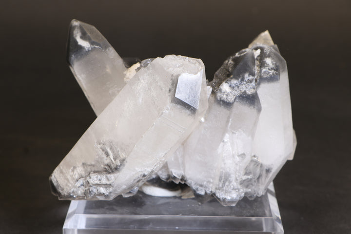 Black Phantom Lemurian Cluster TC1431