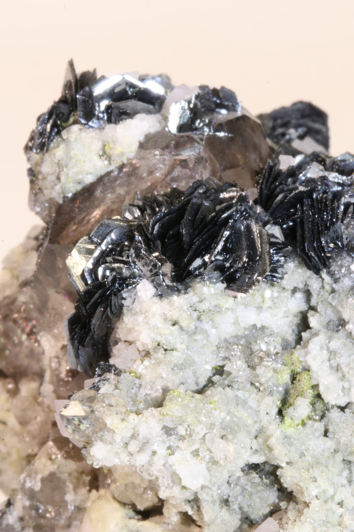 Fluorite and Hematite Rosettes on Smoky Quartz TD2878