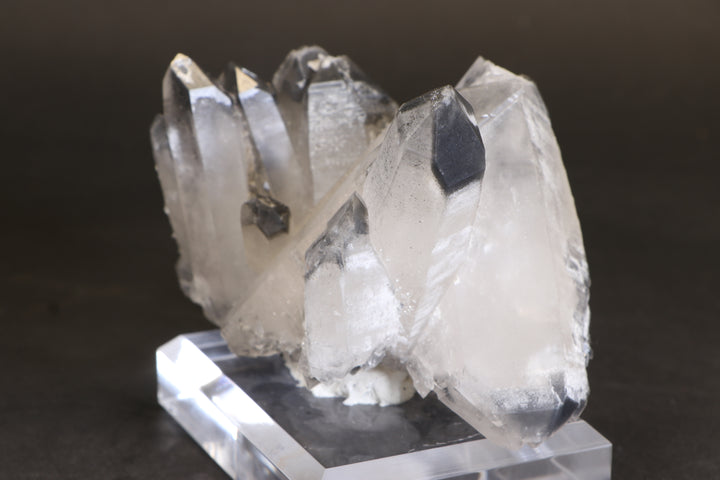 Black Phantom Lemurian Cluster TC1431