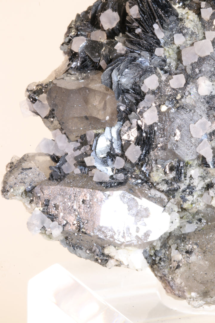 Fluorite and Hematite Rosettes on Smoky Quartz TD2878