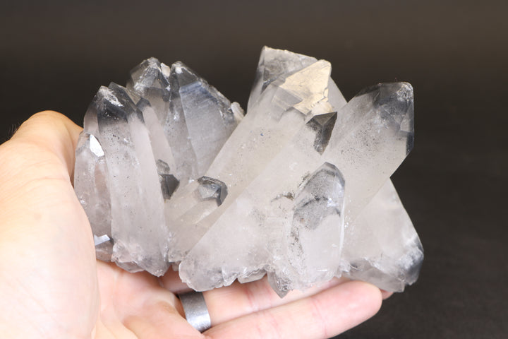 Black Phantom Lemurian Cluster TC1431