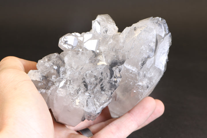 Black Phantom Lemurian Cluster TC1431