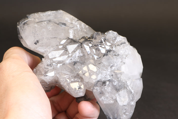 Black Phantom Lemurian Cluster TC1431
