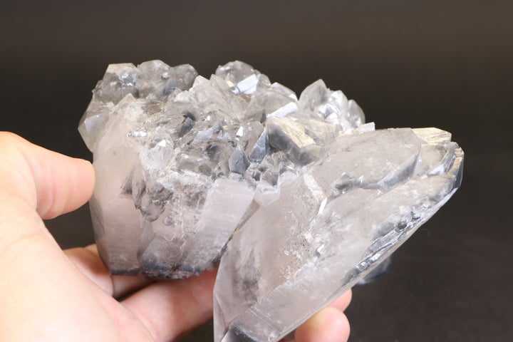 Black Phantom Lemurian Cluster TC1431
