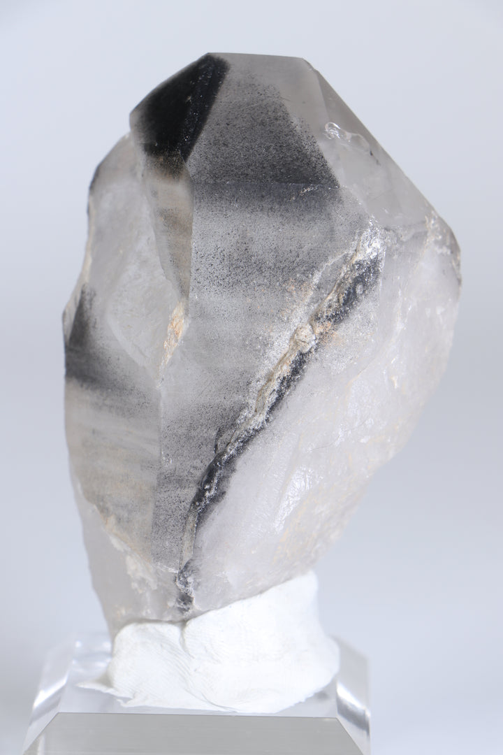 Black Phantom Lemurian TC1348