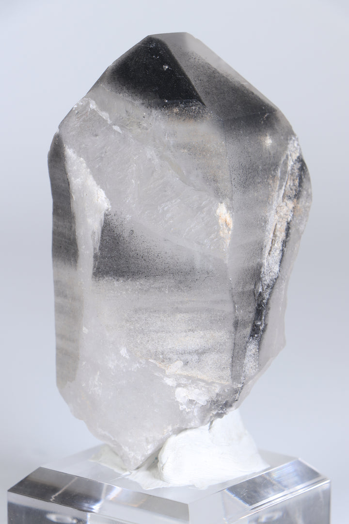 Black Phantom Lemurian TC1348