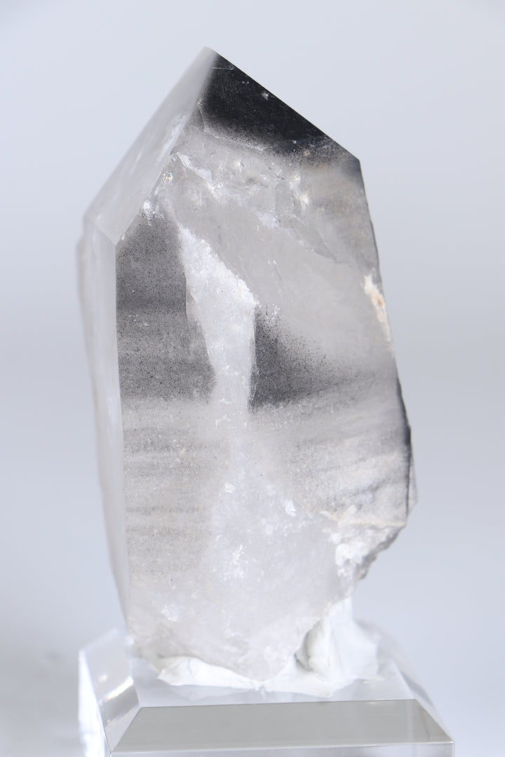Black Phantom Lemurian TC1348