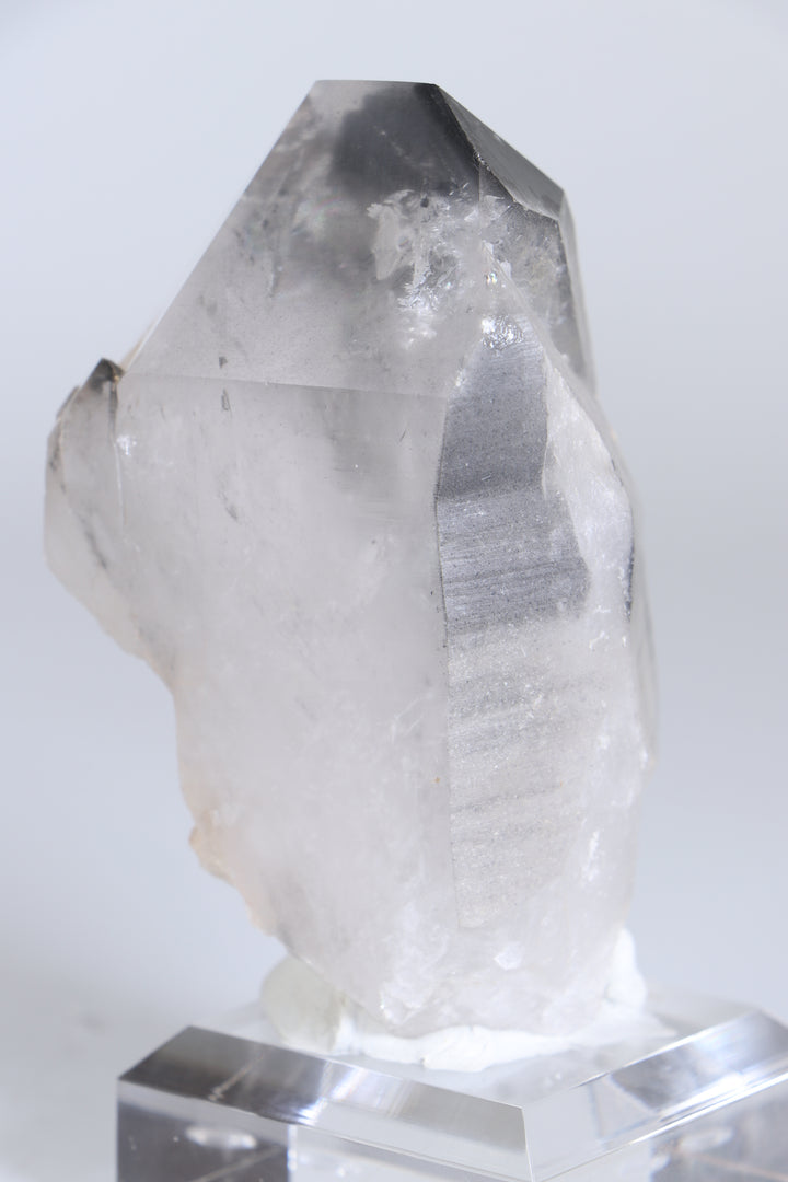 Black Phantom Lemurian TC1348