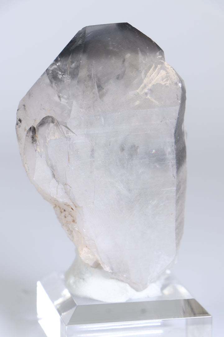 Black Phantom Lemurian TC1348