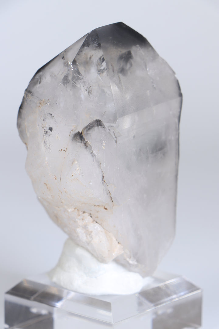 Black Phantom Lemurian TC1348