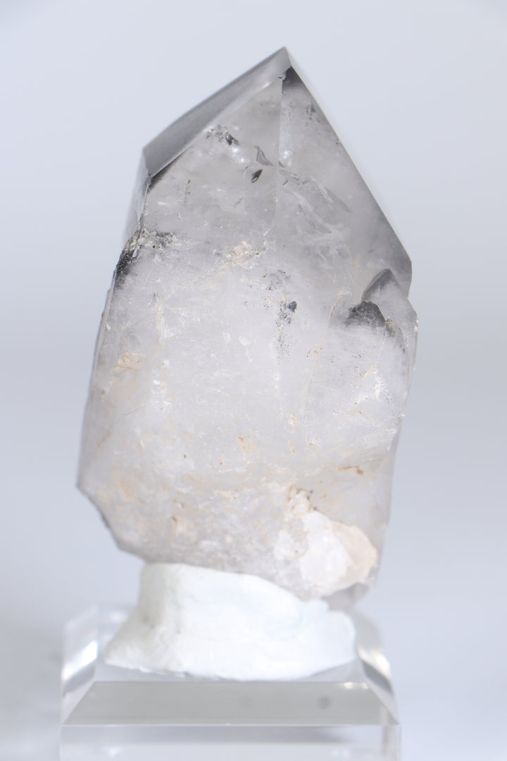 Black Phantom Lemurian TC1348