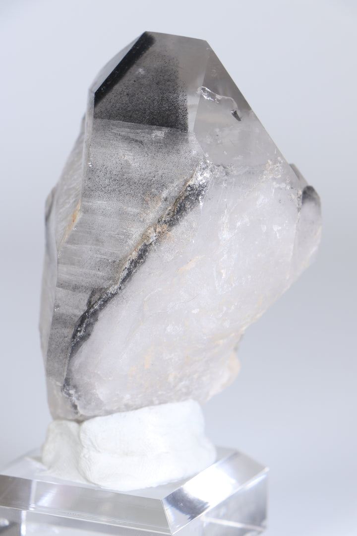 Black Phantom Lemurian TC1348