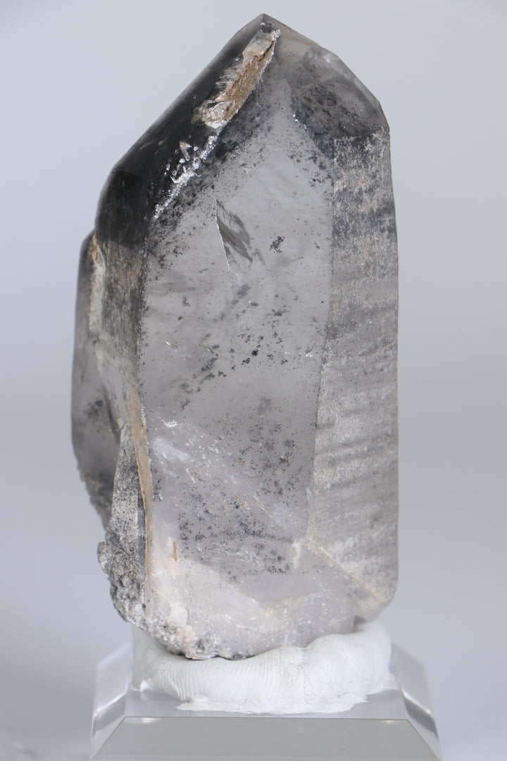 Black Phantom Lemurian TC1347