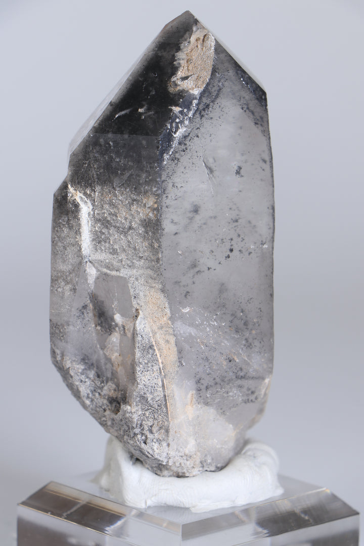 Black Phantom Lemurian TC1347