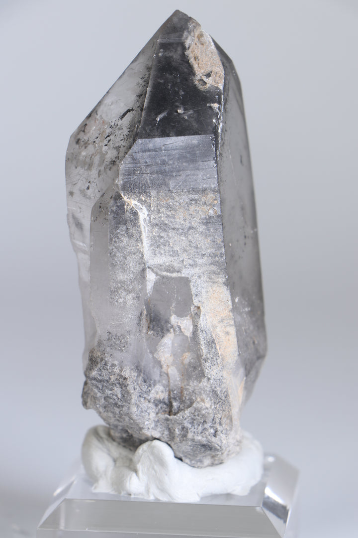 Black Phantom Lemurian TC1347