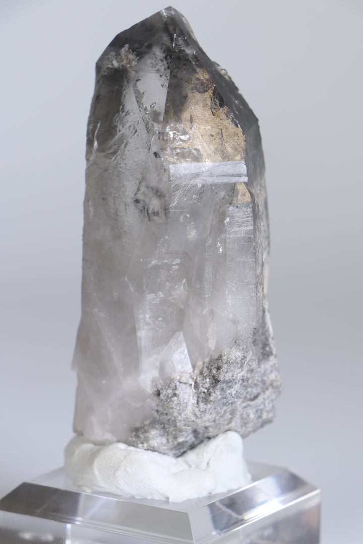 Black Phantom Lemurian TC1347