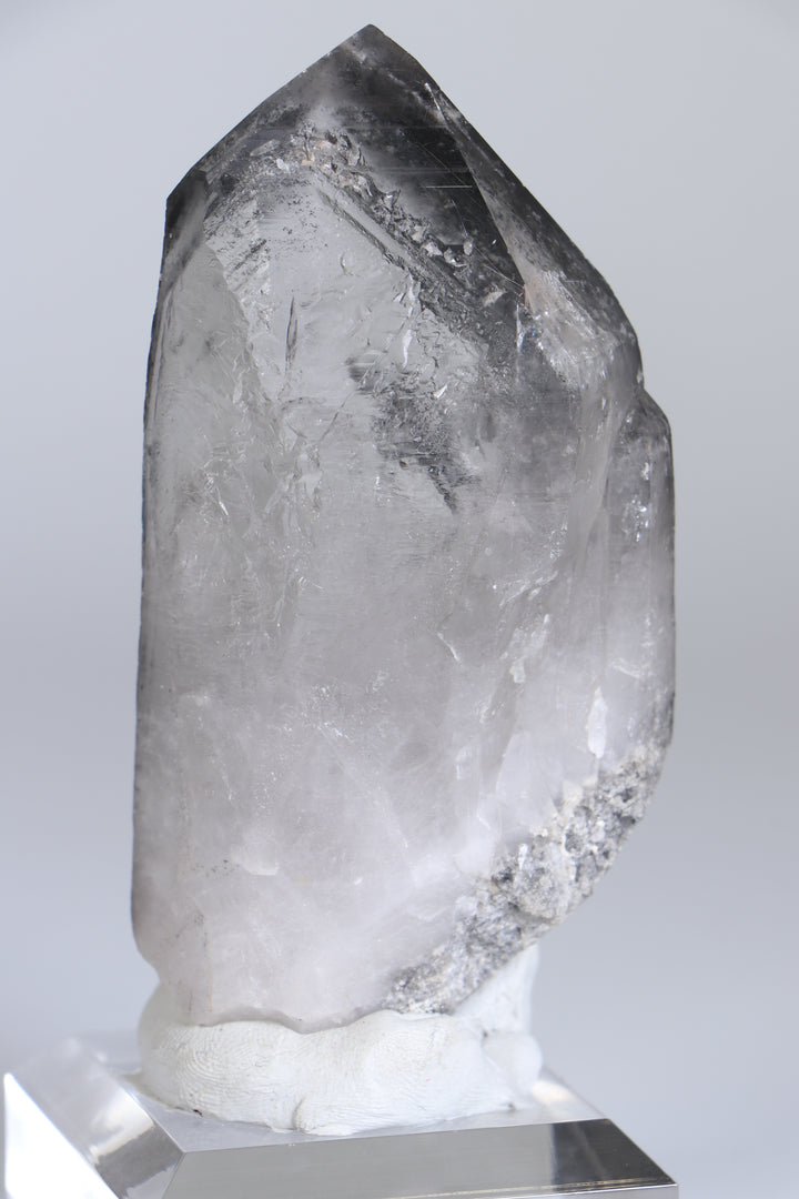 Black Phantom Lemurian TC1347