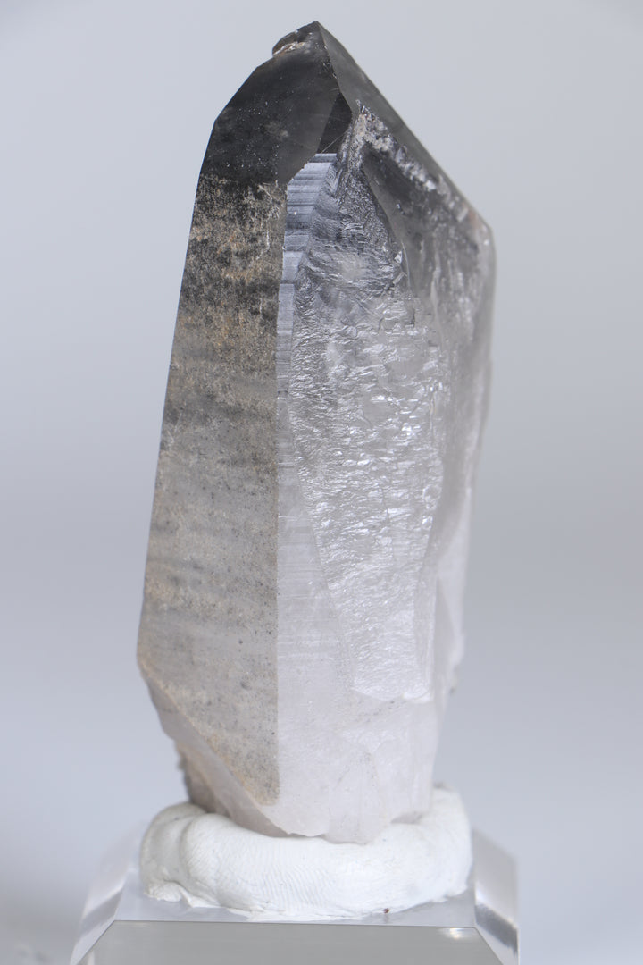 Black Phantom Lemurian TC1347