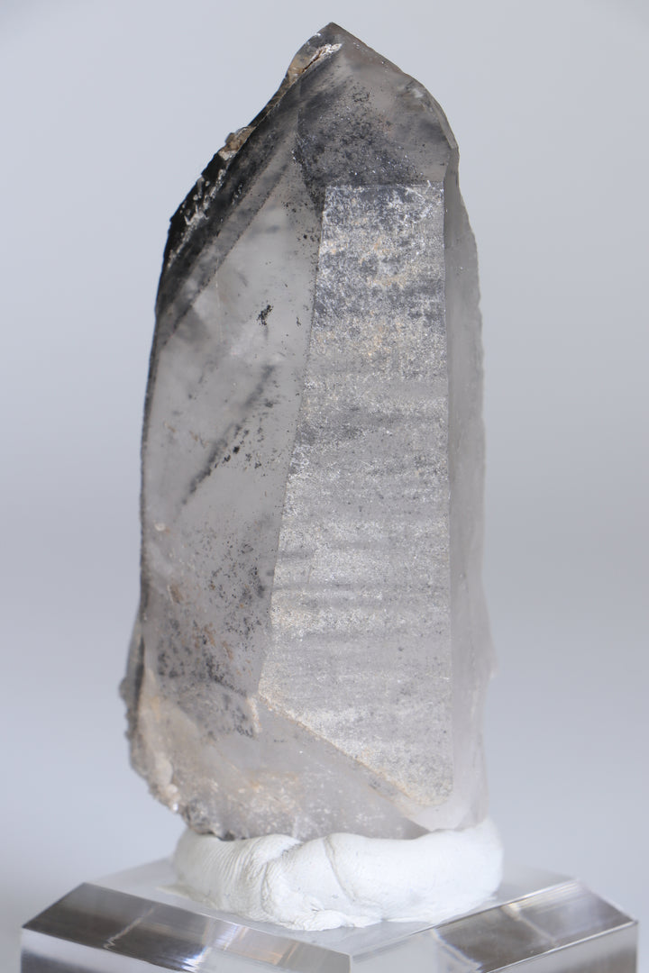 Black Phantom Lemurian TC1347
