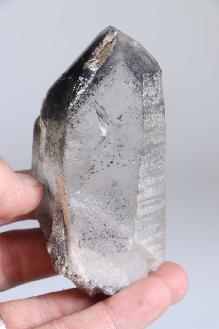 Black Phantom Lemurian TC1347