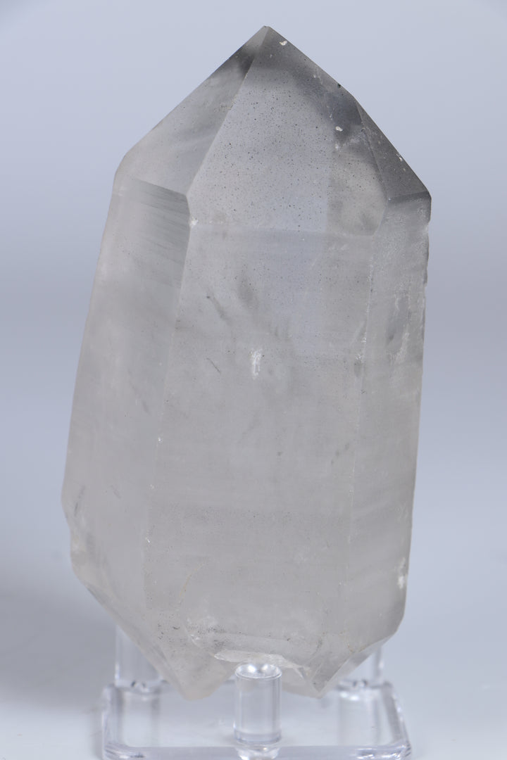 Double Terminated Black Phantom Lemurian TC1417