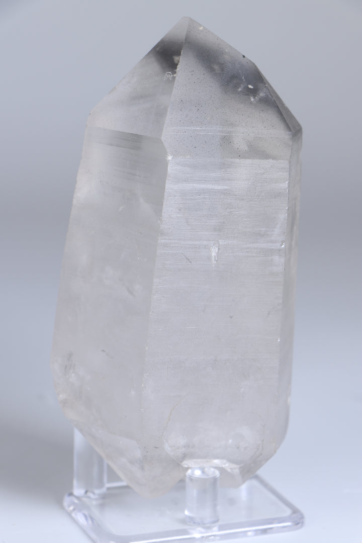 Double Terminated Black Phantom Lemurian TC1417