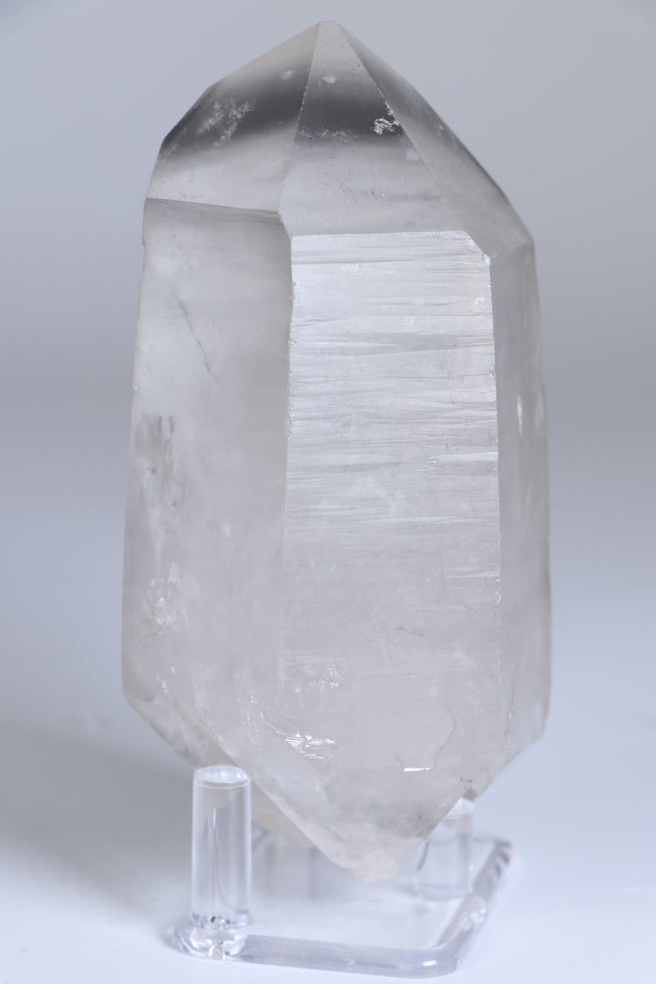 Double Terminated Black Phantom Lemurian TC1417