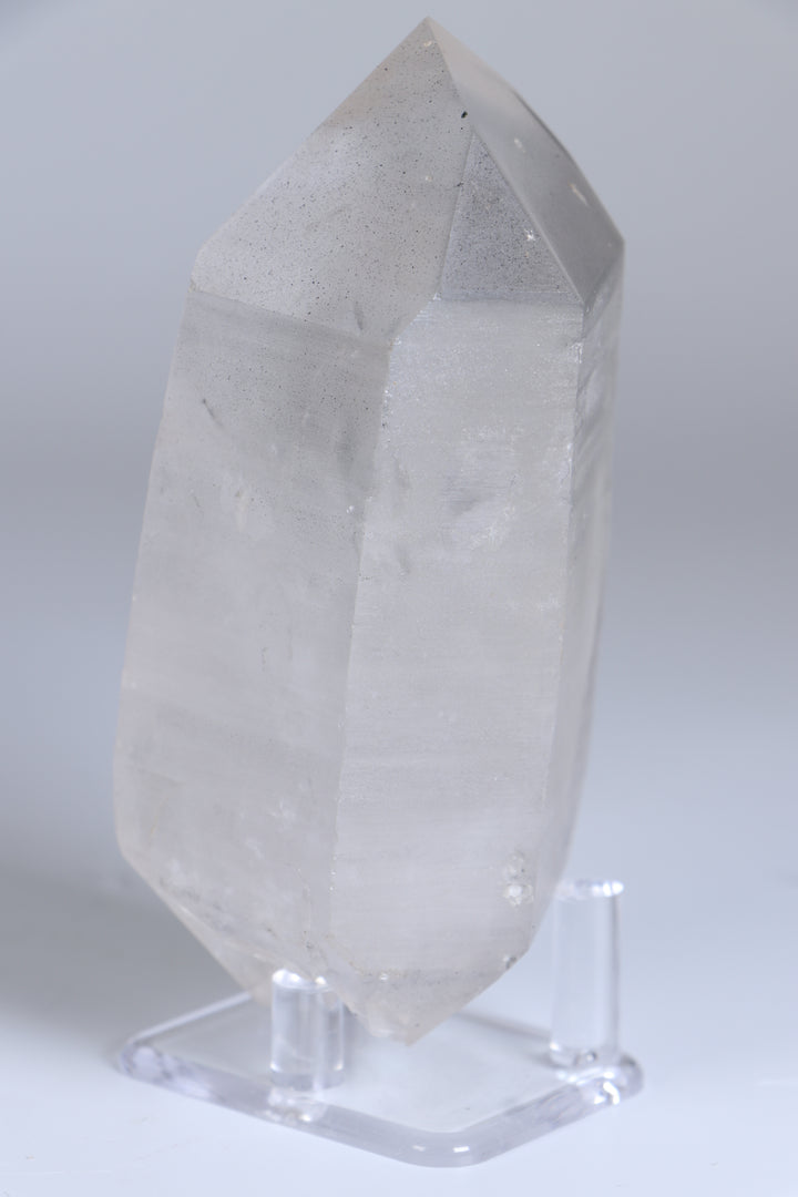 Double Terminated Black Phantom Lemurian TC1417