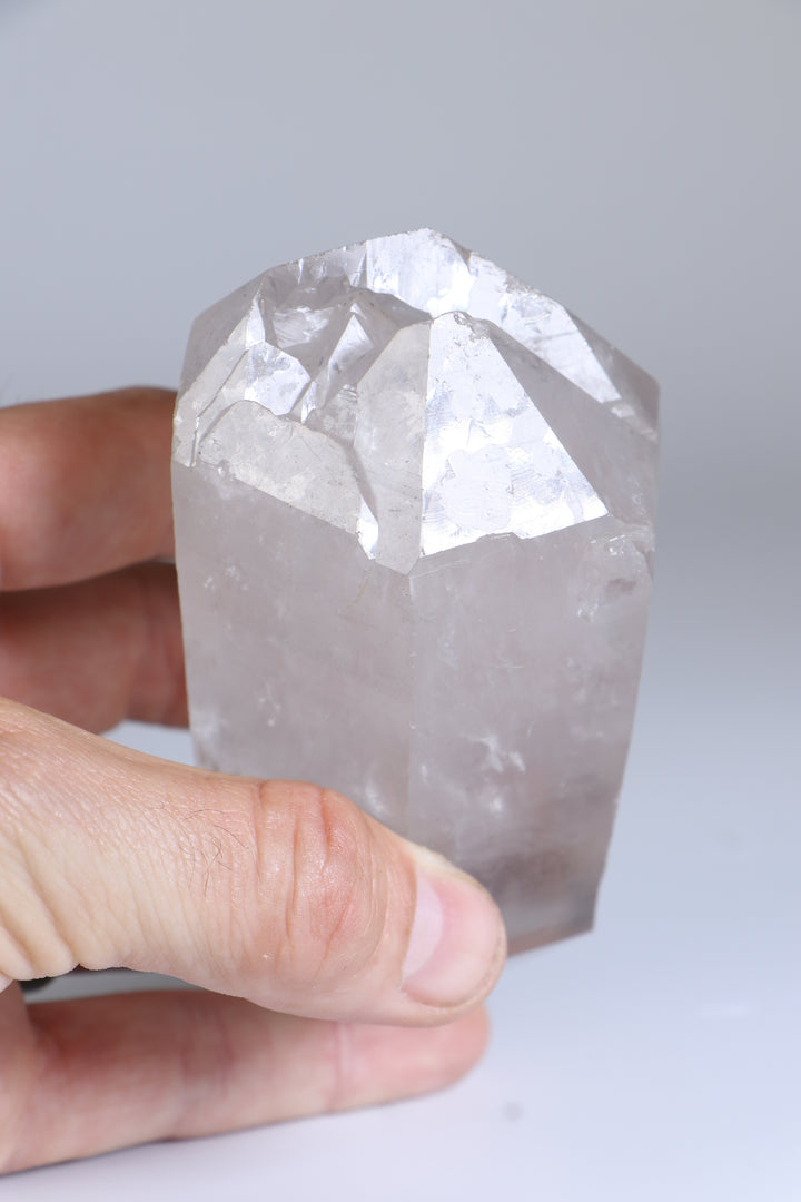 Double Terminated Black Phantom Lemurian TC1417