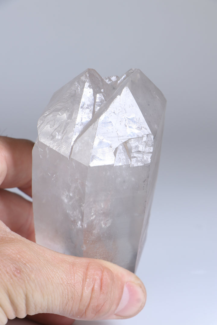 Double Terminated Black Phantom Lemurian TC1417