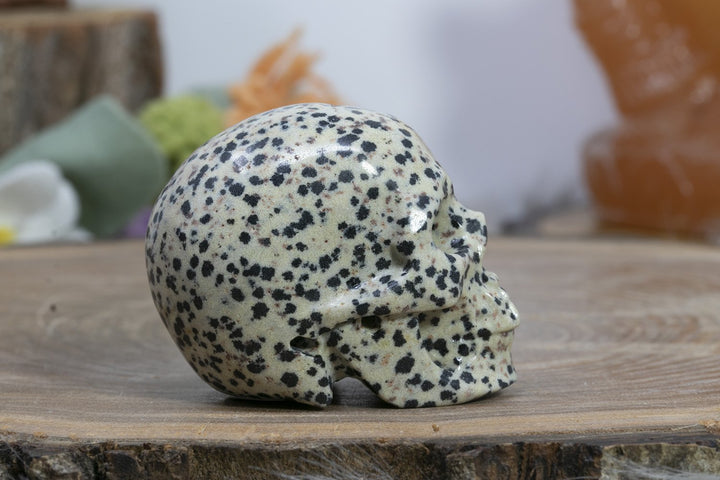 2" Dalmation Stone Skull