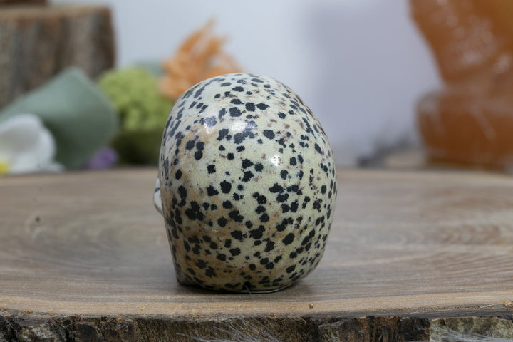 2" Dalmation Stone Skull