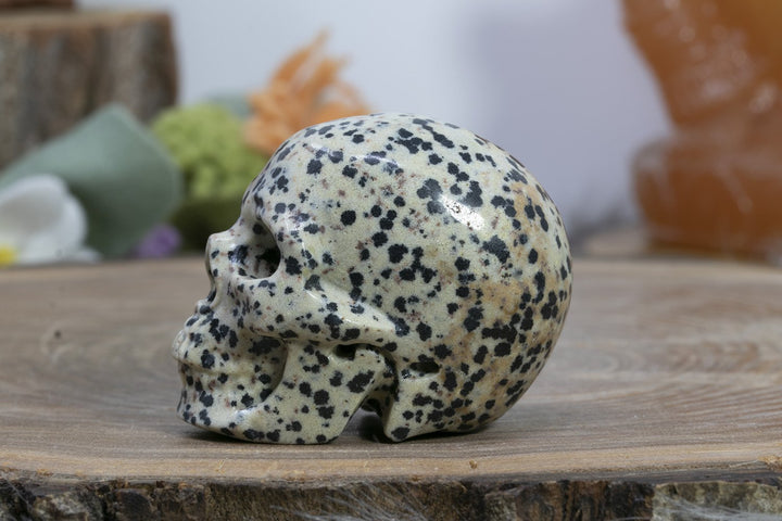 2" Dalmation Stone Skull