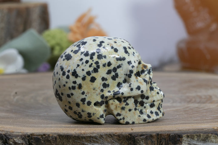2" Dalmation Stone Skull