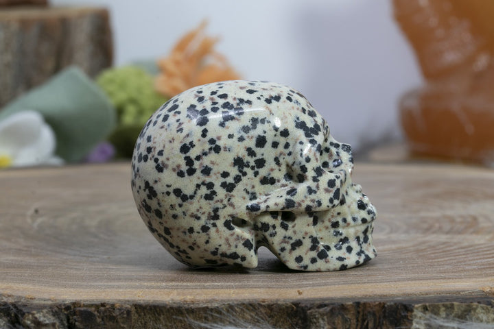 2" Dalmation Stone Skull
