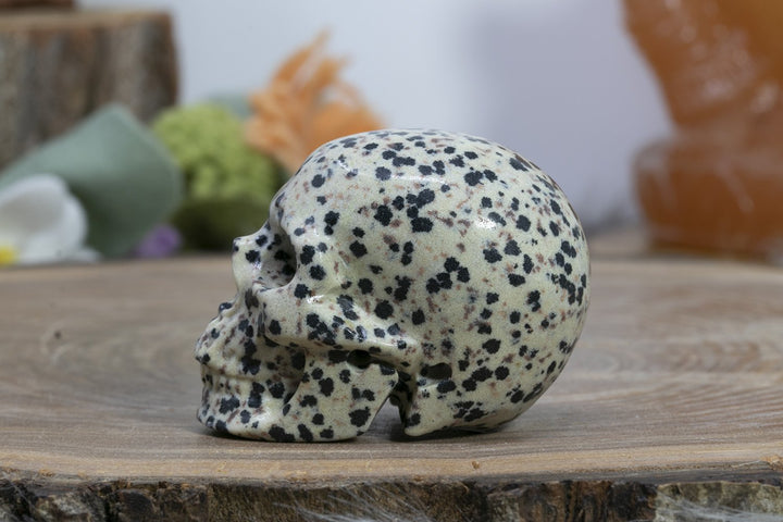 2" Dalmation Stone Skull