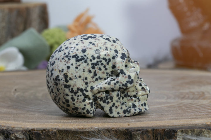 2" Dalmation Stone Skull