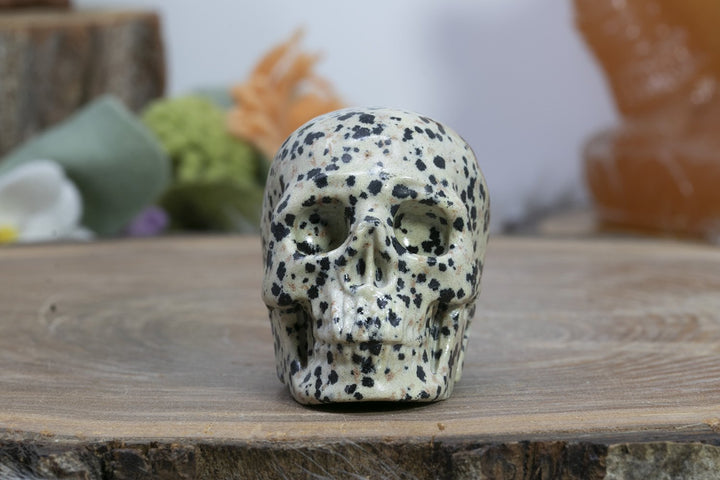 2" Dalmation Stone Skull