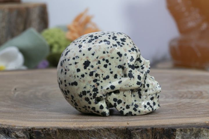 2" Dalmation Stone Skull